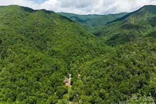 1037 Newberry Creek Rd, Old Fort, NC 28762 - Photo 46