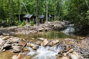 1037 Newberry Creek Rd, Old Fort, NC 28762 - Photo 44