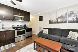 301 Pinnacle Inn Rd, Beech Mountain, NC 28604 - Photo 24