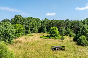 6314 Providence Church Rd, Vale, NC 28168 - Photo 6