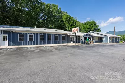 6306 Pigeon Road, Canton, NC 28716 - Photo 4