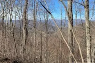 Lot 22 Spring Rock Rd, Burnsville, NC 28714 - Photo 20