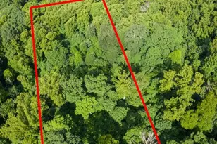 Lot 22 Spring Rock Rd, Burnsville, NC 28714 - Photo 14