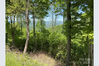 Lot 22 Spring Rock Road, Burnsville, NC 28714 - Photo 4