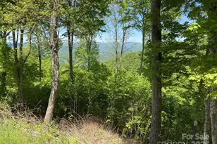 Lot 22 Spring Rock Rd, Burnsville, NC 28714 - Photo 4