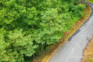 Lot 22 Spring Rock Rd, Burnsville, NC 28714 - Photo 12