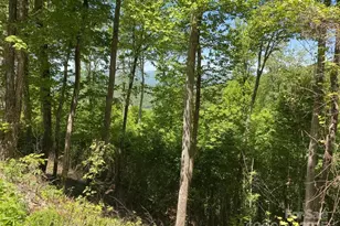 Lot 22 Spring Rock Rd, Burnsville, NC 28714 - Photo 6