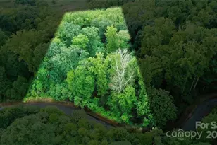 Lot 22 Spring Rock Rd, Burnsville, NC 28714 - Photo 10