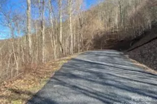 Lot 22 Spring Rock Rd, Burnsville, NC 28714 - Photo 18