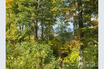 Lot 22 Spring Rock Road, Burnsville, NC 28714 - Photo 28