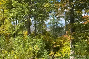 Lot 22 Spring Rock Rd, Burnsville, NC 28714 - Photo 28