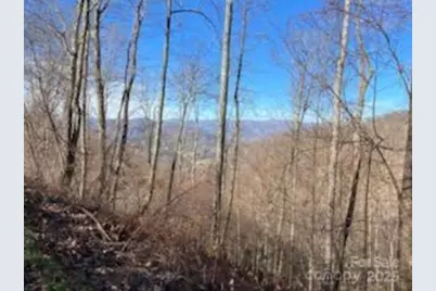 Lot 22 Spring Rock Road, Burnsville, NC 28714 - Photo 22