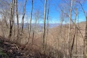 Lot 22 Spring Rock Rd, Burnsville, NC 28714 - Photo 22