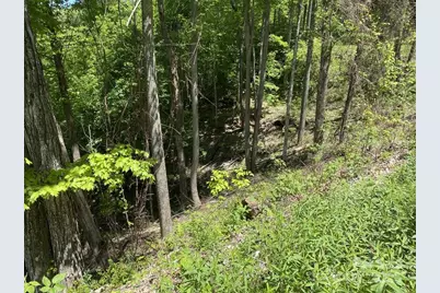 Lot 22 Spring Rock Road, Burnsville, NC 28714 - Photo 8