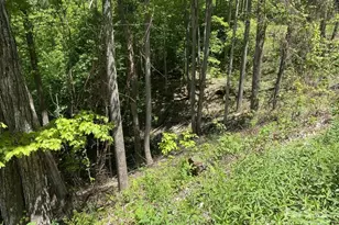 Lot 22 Spring Rock Rd, Burnsville, NC 28714 - Photo 8