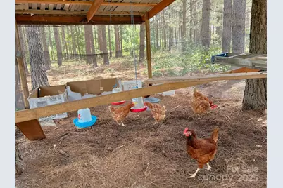 1808 Aiken Road, Blackstock, SC 29014 - Photo 14