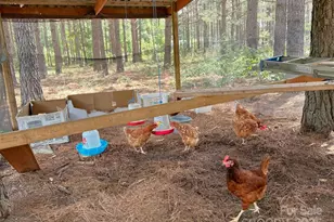 1808 Aiken Rd, Blackstock, SC 29014 - Photo 14