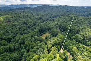 164 Horseplay Ln, Lake Toxaway, NC 28747 - Photo 8