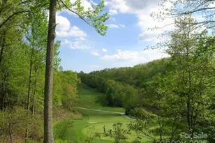 216 Tinequa Dr, Brevard, NC 28712 - Photo 40