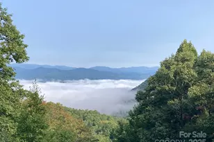 216 Tinequa Dr, Brevard, NC 28712 - Photo 20