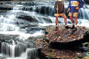 216 Tinequa Dr, Brevard, NC 28712 - Photo 46