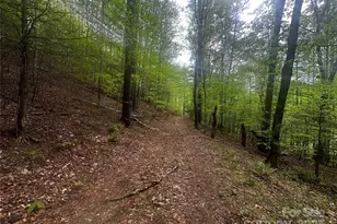 00 McPeters Ln, Burnsville, NC 28714 - Photo 10