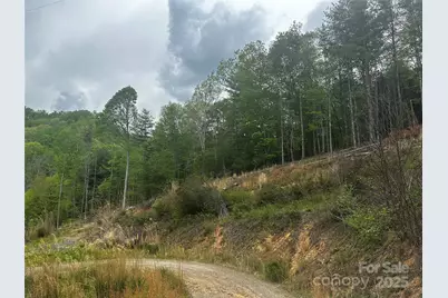 00 McPeters Lane, Burnsville, NC 28714 - Photo 6