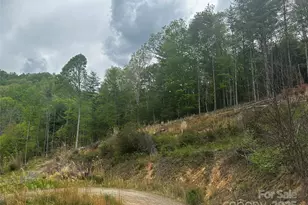 00 McPeters Ln, Burnsville, NC 28714 - Photo 6