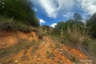 00 McPeters Ln, Burnsville, NC 28714 - Photo 4