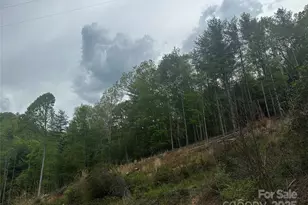 00 McPeters Ln, Burnsville, NC 28714 - Photo 18