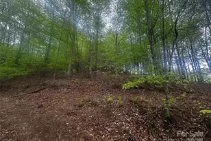 00 McPeters Ln, Burnsville, NC 28714 - Photo 12