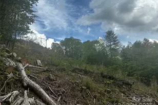 00 McPeters Ln, Burnsville, NC 28714 - Photo 14