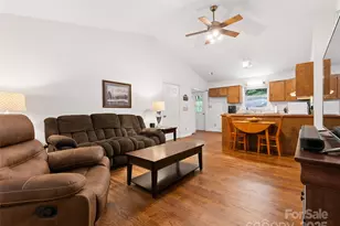 186 Sloshy Branch Trail, Chimney Rock Village, NC 28711 - Photo 8