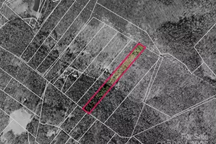 186 Sloshy Branch Trail, Chimney Rock Village, NC 28711 - Photo 30