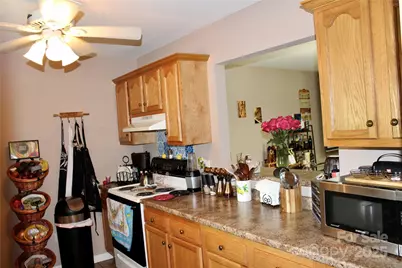 544 Tracy Grove Road, Flat Rock, NC 28731 - Photo 4