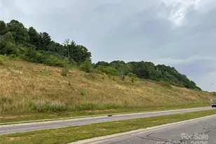 32 Hwy 19E Hwy, Burnsville, NC 28714 - Photo 2