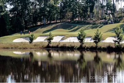 7406 Carolina Jessamine Court, Indian Land, SC 29707 - Photo 32