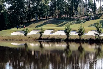 7406 Carolina Jessamine Court, Indian Land, SC 29707 - Photo 32