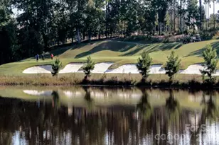 7406 Carolina Jessamine Ct, Indian Land, SC 29707 - Photo 32