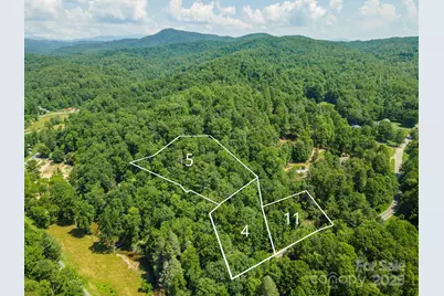 11 Roy Lane, Black Mountain, NC 28711 - Photo 10