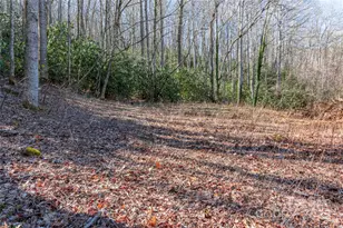 0 Landis Ln, Burnsville, NC 28714 - Photo 4