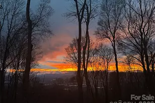 94A Laurel Ledge Way, Fletcher, NC 28732 - Photo 44