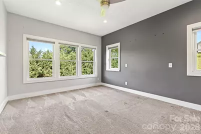 4 Stars Forever Drive, Black Mountain, NC 28711 - Photo 20