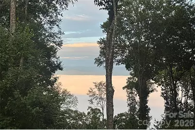 000 Laurel Ledge Way #23, Fletcher, NC 28732 - Photo 22