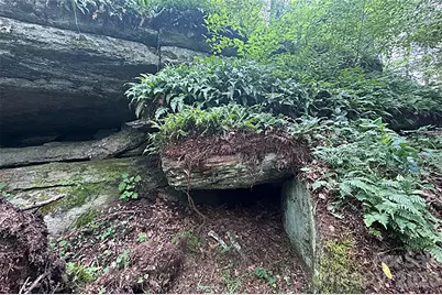 000 Laurel Ledge Way #23, Fletcher, NC 28732 - Photo 12