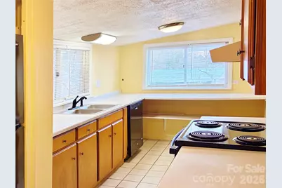 20 Spring Drive, Asheville, NC 28806 - Photo 12