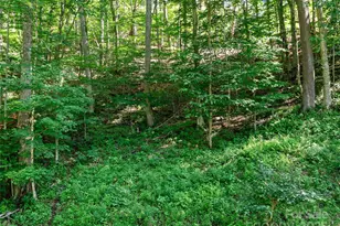 0 Chestnut Ln, Mars Hill, NC 28754 - Photo 6