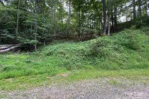 0 Chestnut Ln, Mars Hill, NC 28754 - Photo 8