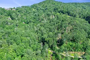 0 Chestnut Ln, Mars Hill, NC 28754 - Photo 2