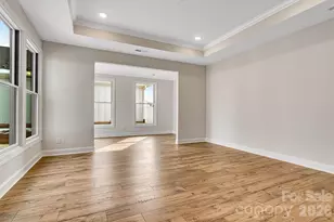 243 Alenda Lux Cir, Mooresville, NC 28115 - Photo 20